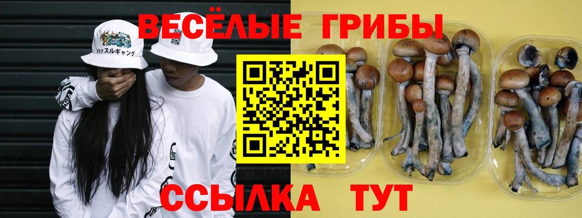 Псилоцибиновые грибы Magic Shrooms Пермь